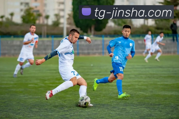 App Interface Preview