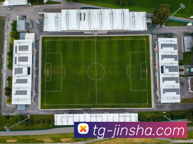 金沙国际APP 封面图